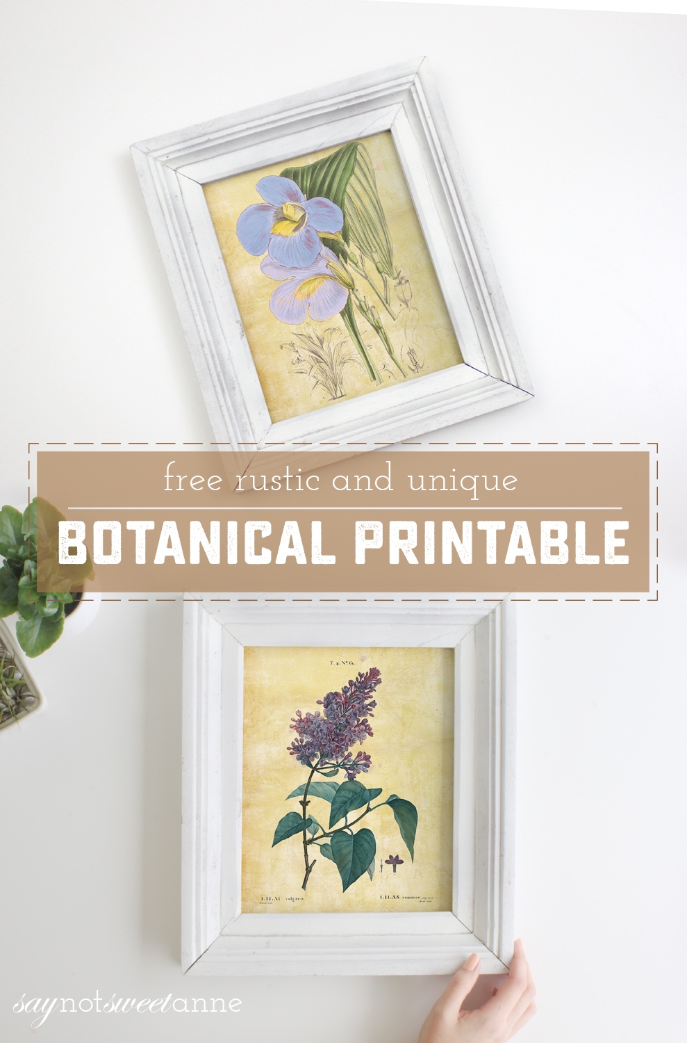 Rustic And Unique Botanical Free Printable Sweet Anne Designs