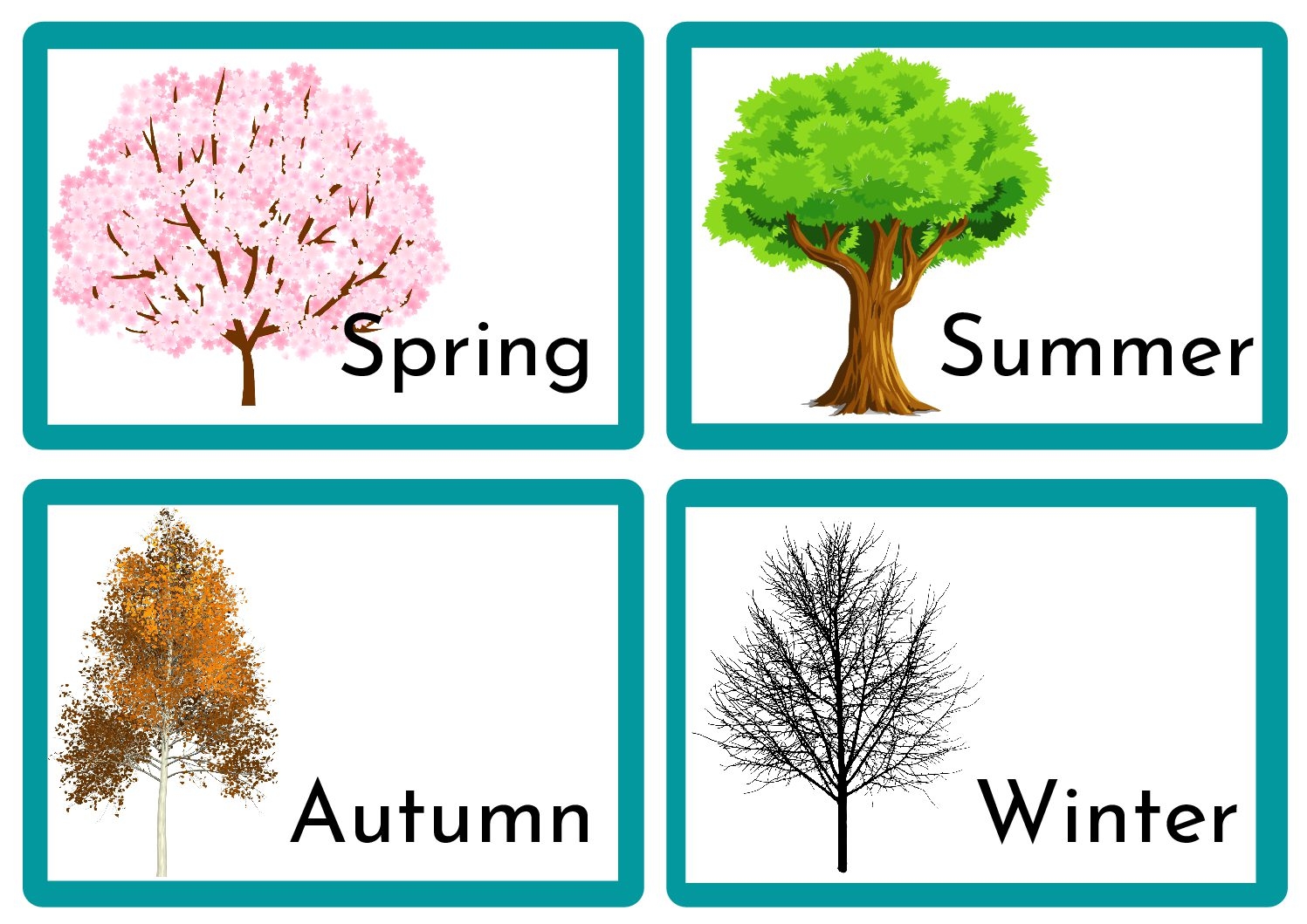 Seasons Teacha 