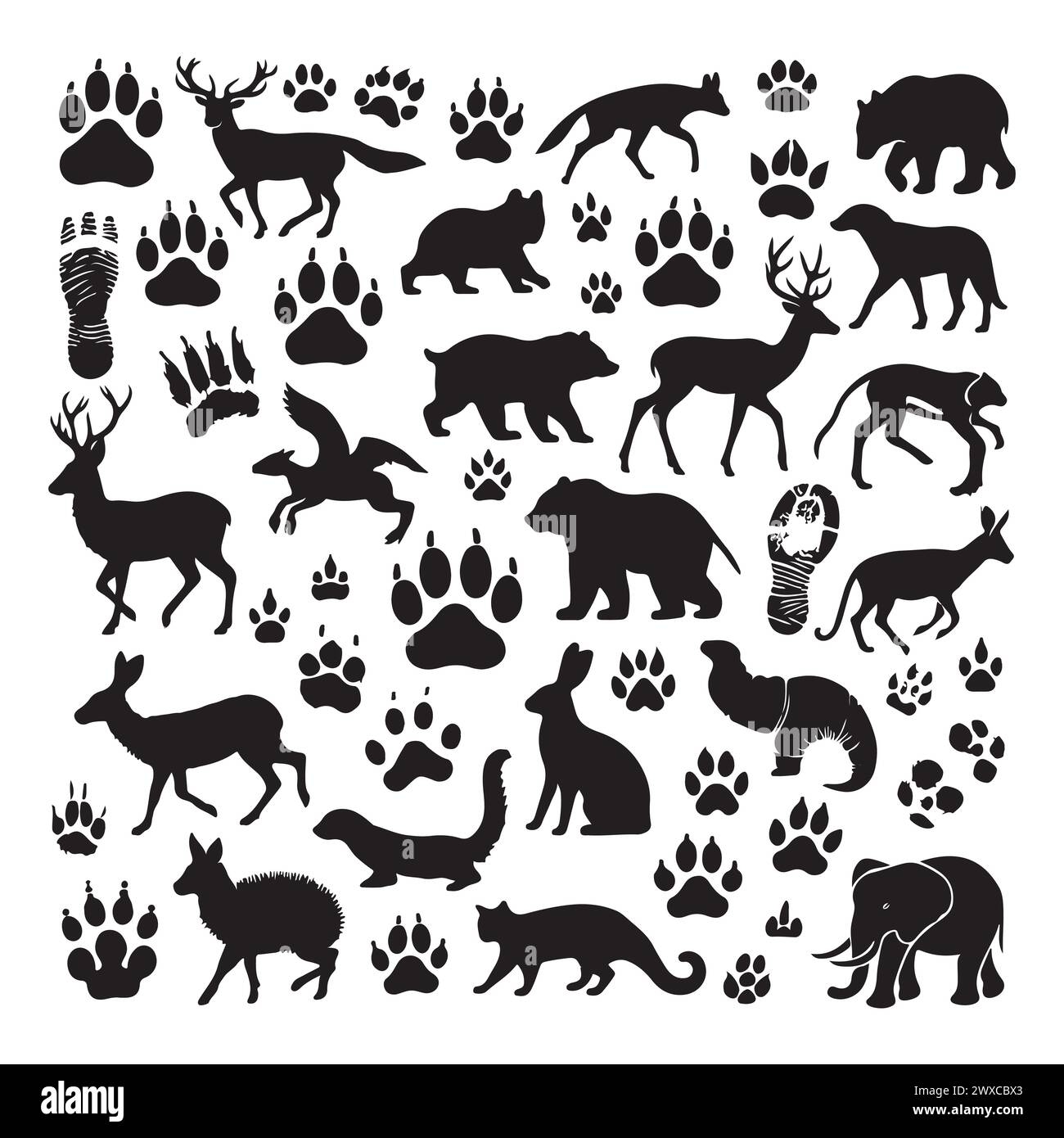 Silhouette Set Of Different Animals And Their Footprint Stock Vector Image Art Alamy
