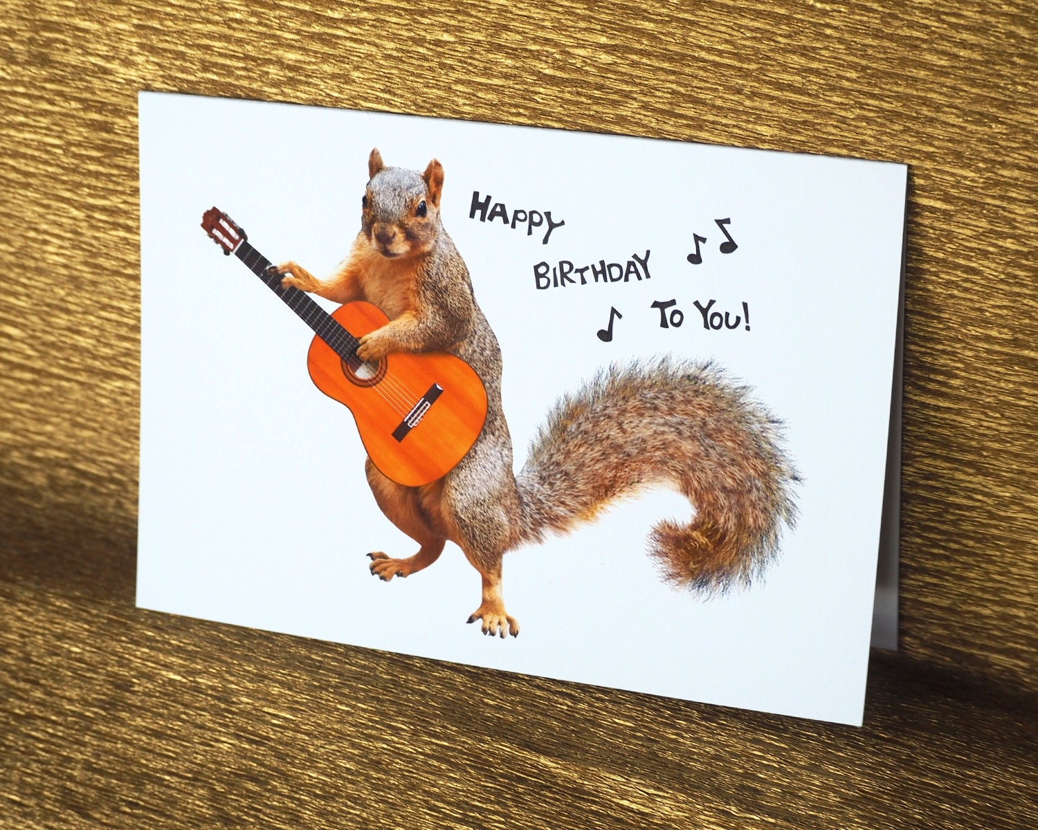 Squirrel Playing Guitar Birthday Card Etsy