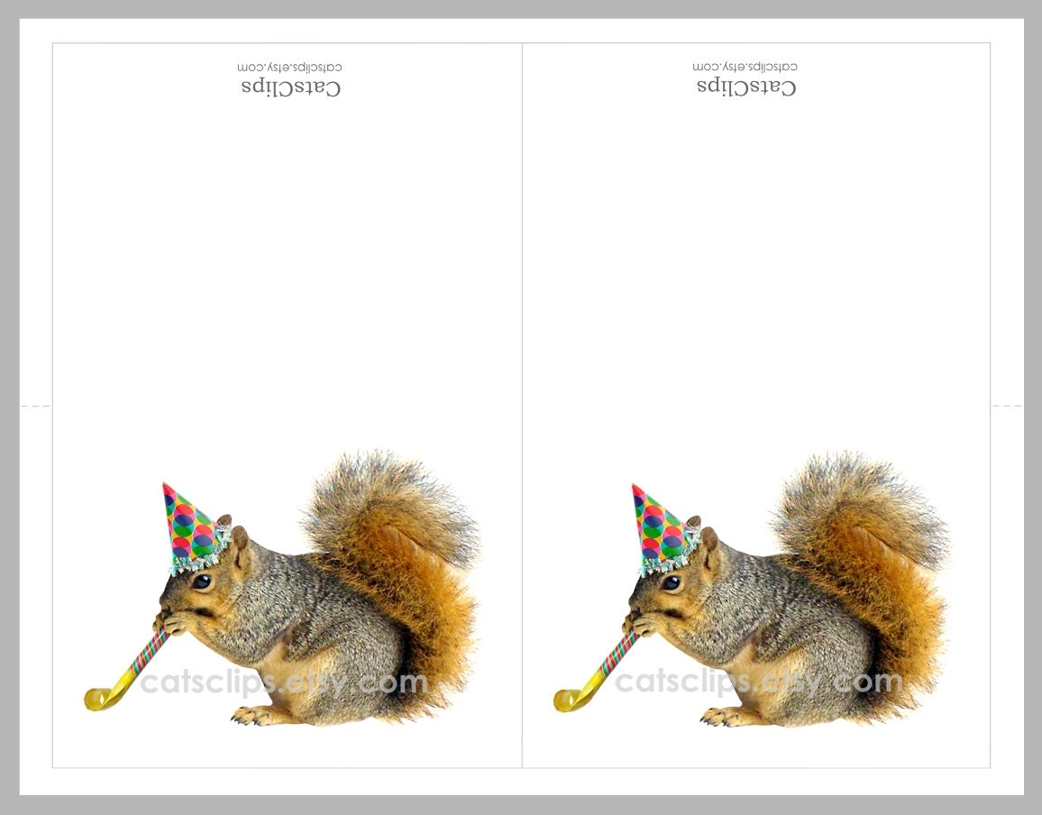 Squirrel With Party Blower Printable Birthday Card Digital Squirrel Card Etsy
