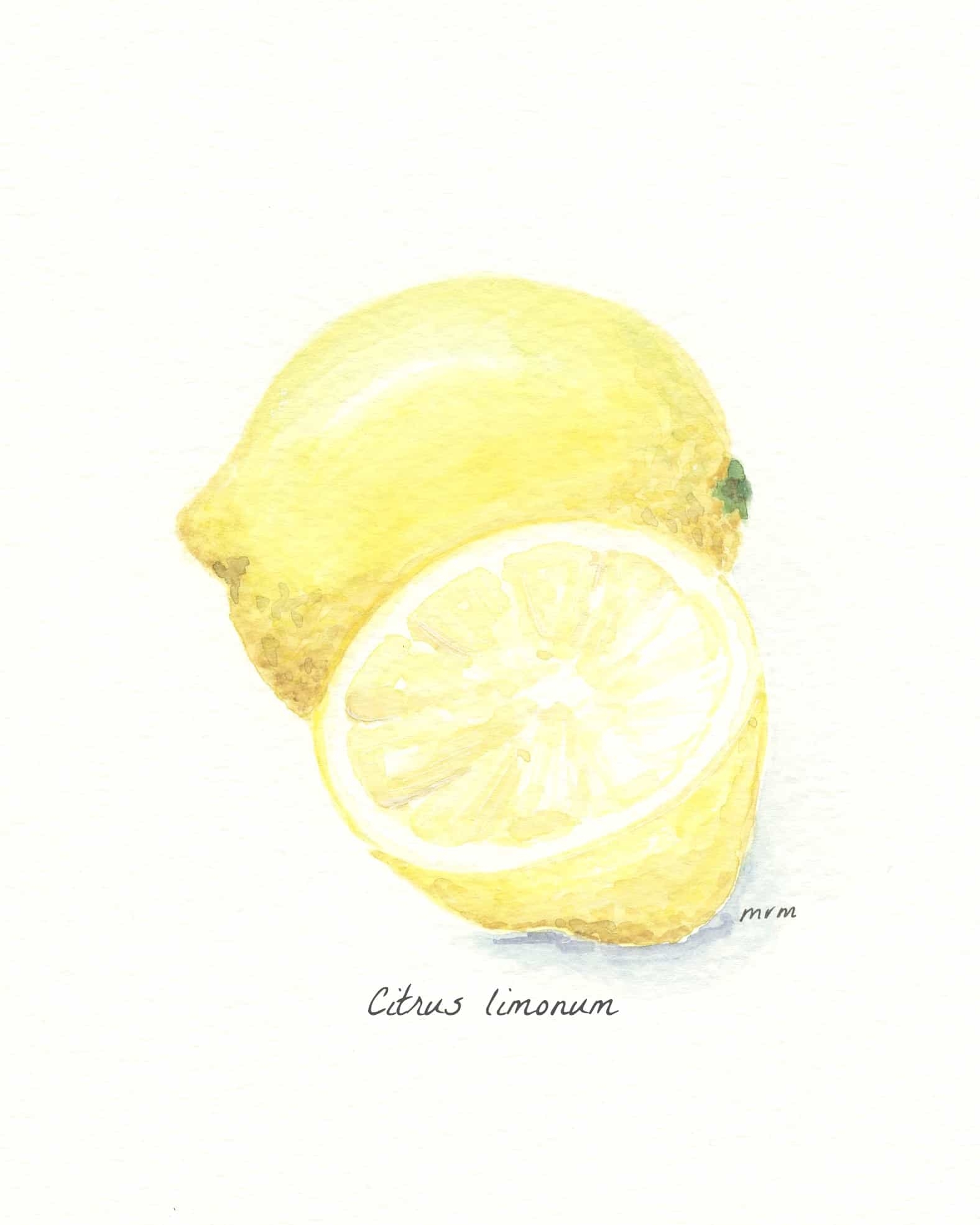 Summer Lemon Tablescape And A Free Printable Thistle Key Lane