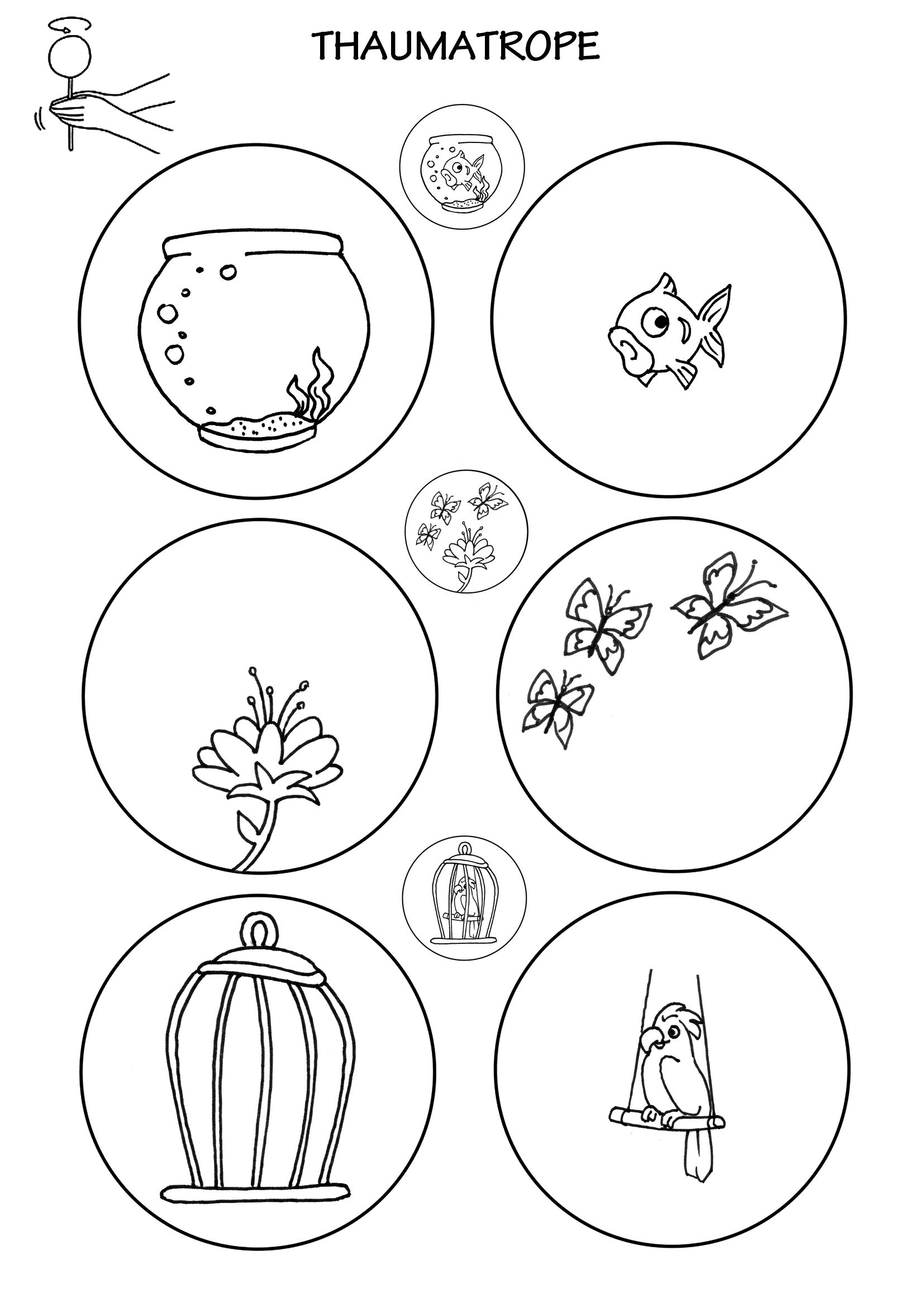 Free Printable Thaumatrope Templates