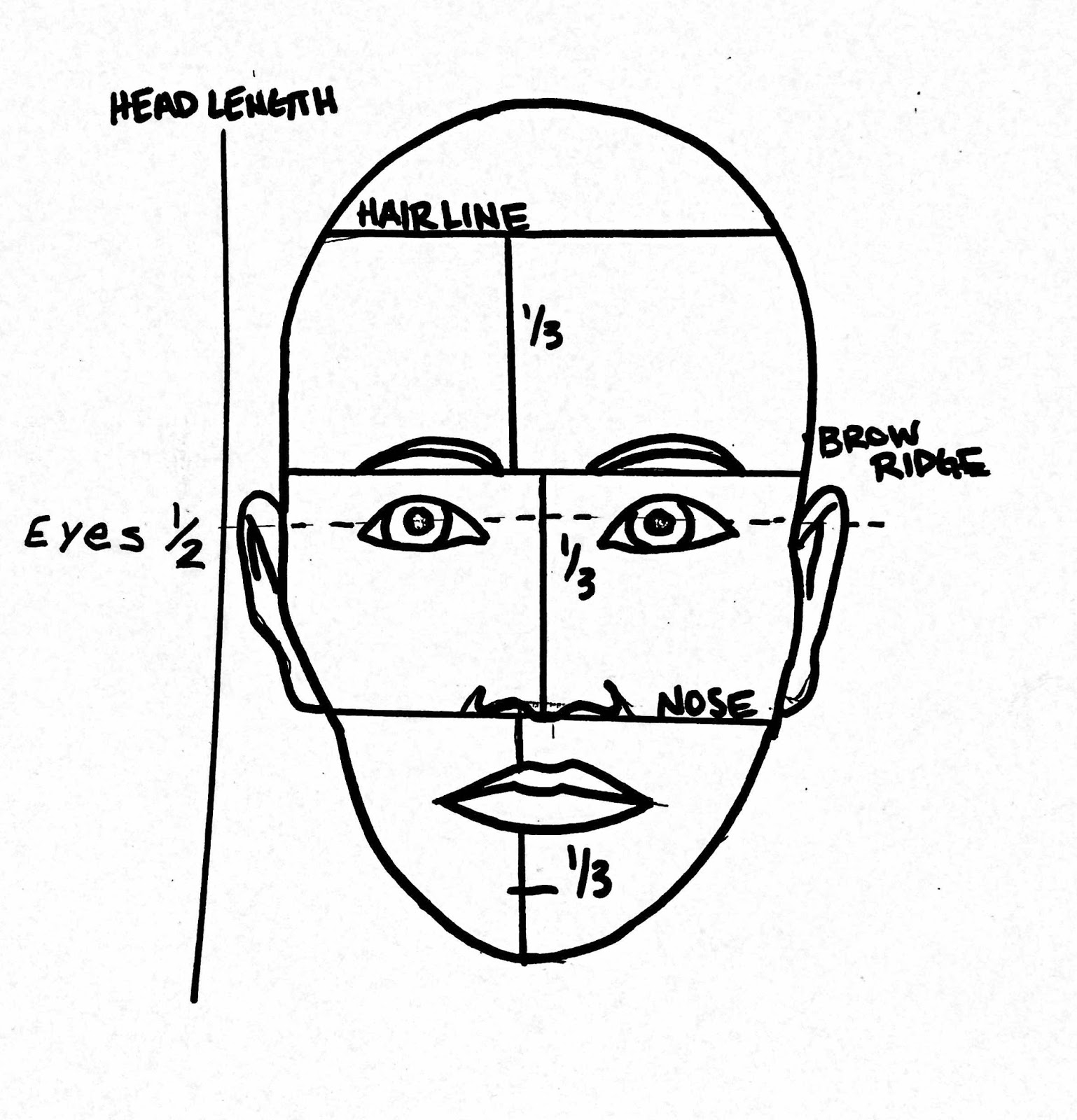 Free Printable Portrait Proportions