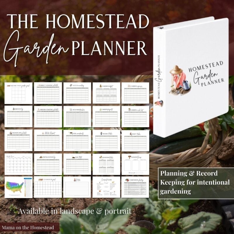 The Homestead Management Planner PDF Mama On The Homestead