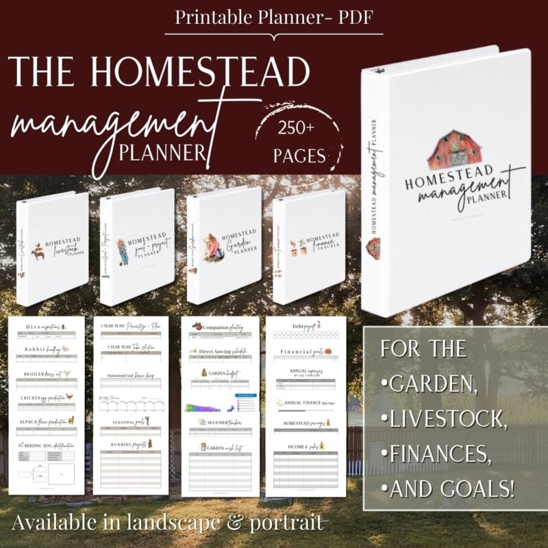 The Homestead Management Planner PDF Mama On The Homestead