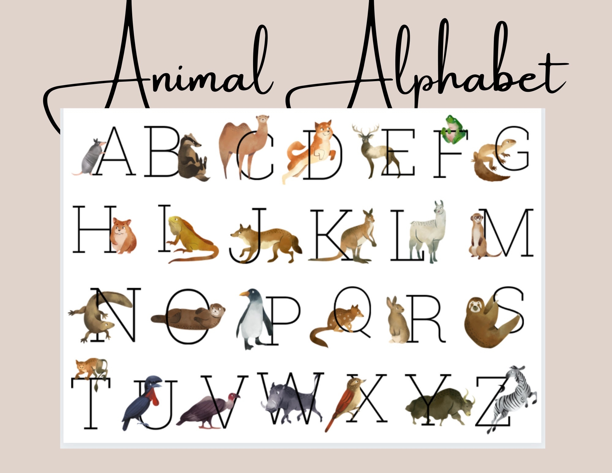 Toddler Animal Alphabet Simple Beautiful Learning Cards Nature Animals Learning Alphabet Letters Printable Worksheet Homeschool Etsy