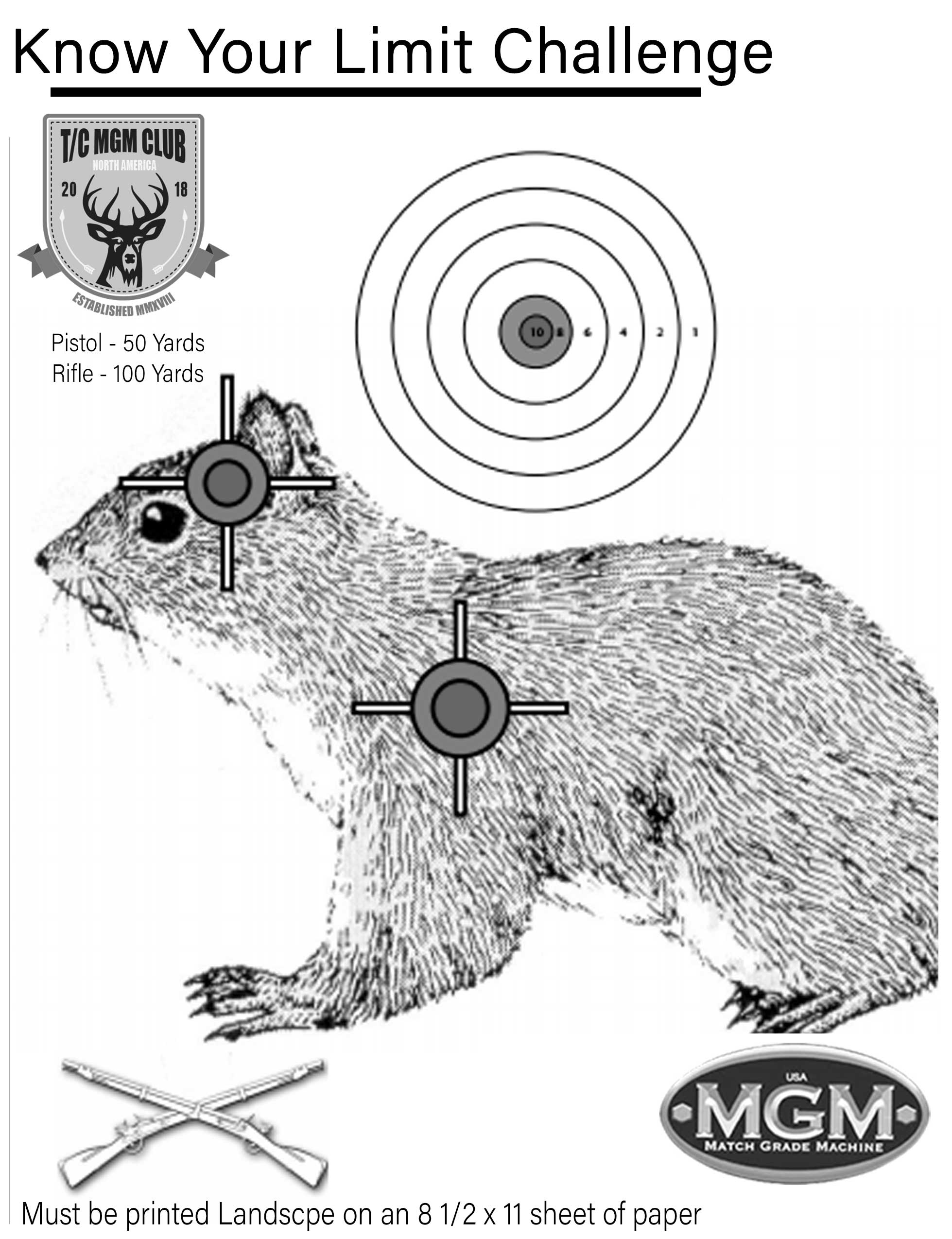 Vintage Style 17cm Targets Shooting Skull Targets Worksheets Library