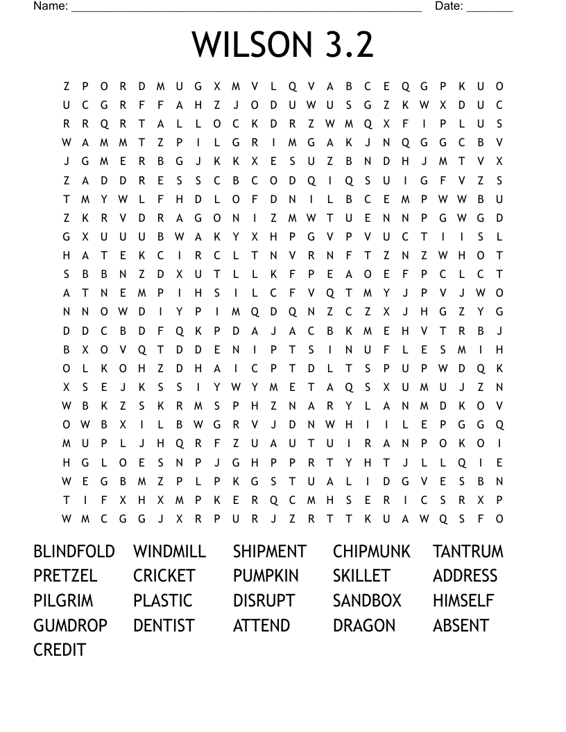 WILSON READING 3 2 Bingo Cards WordMint