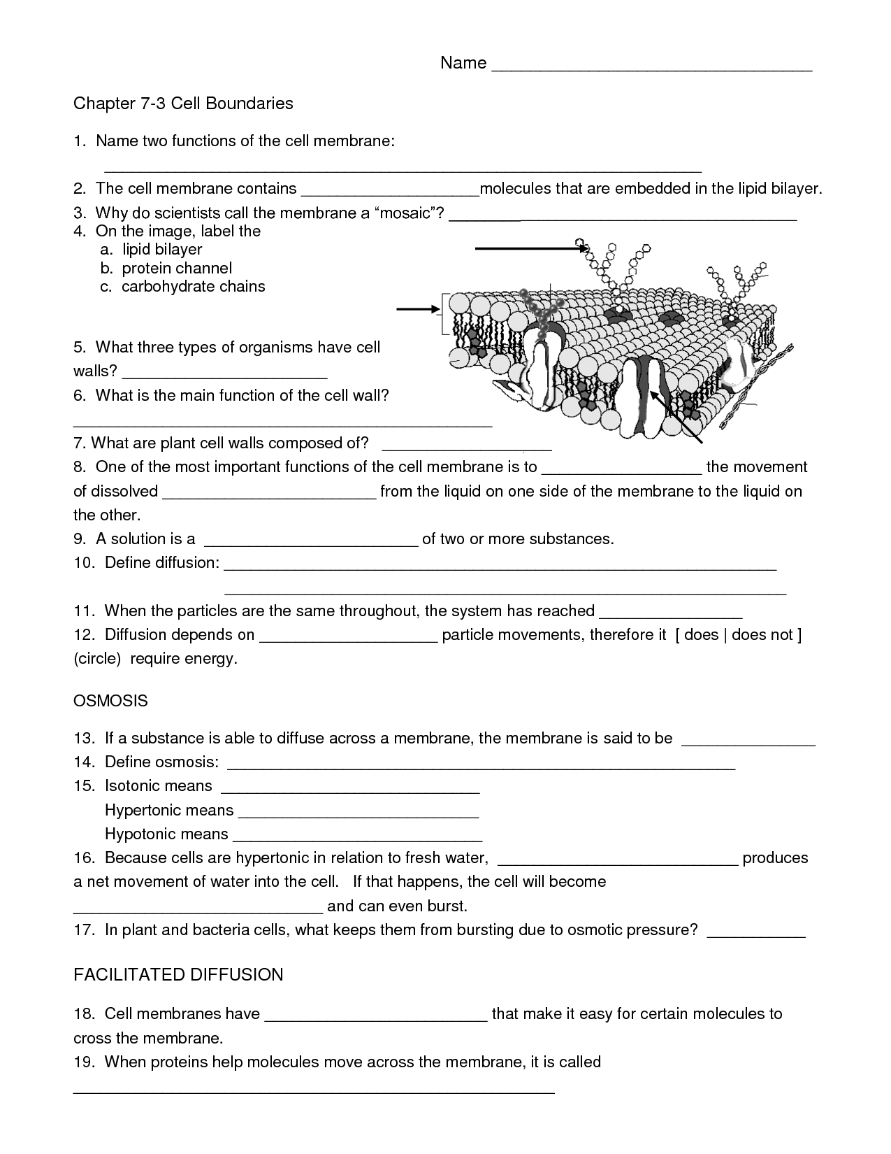 19 Free Printable Biology Worksheets
