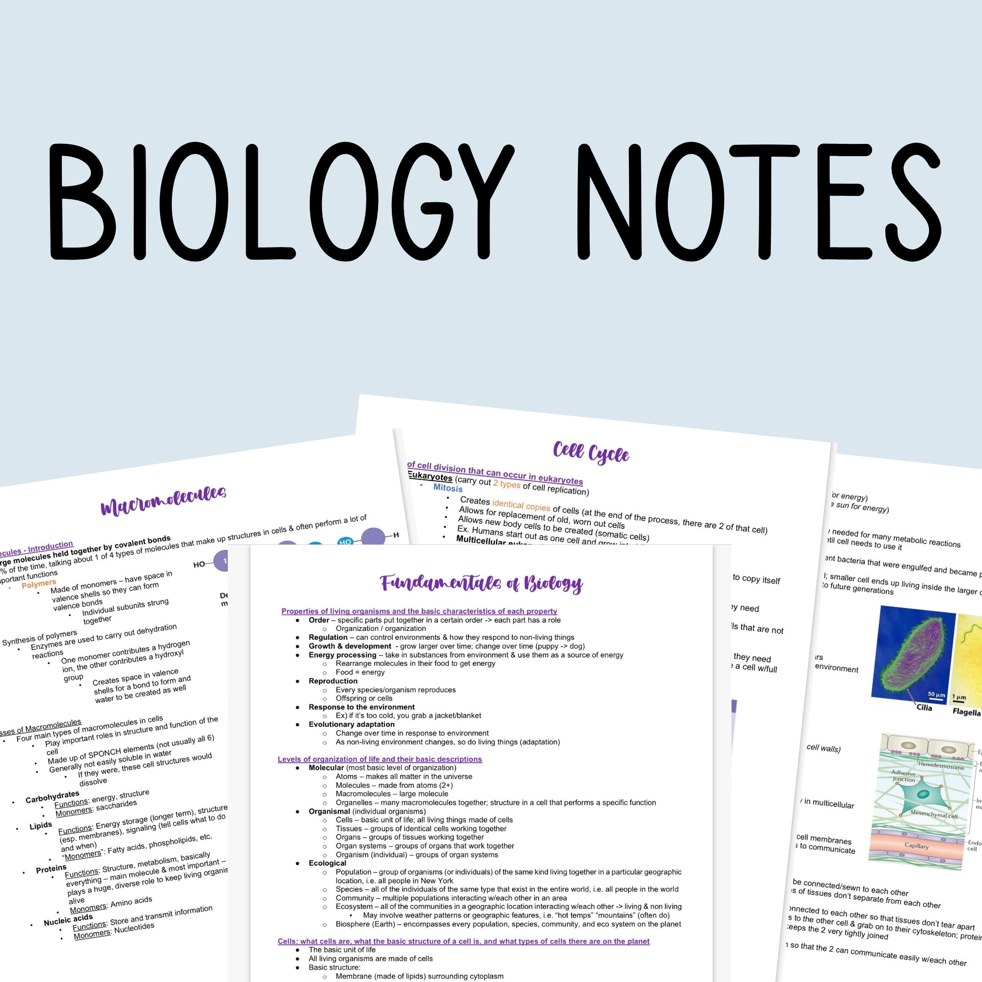 Biology Notes 62 Pages Downloadable File To Help You Succeed In Class And Pass Your College Final Exam Etsy