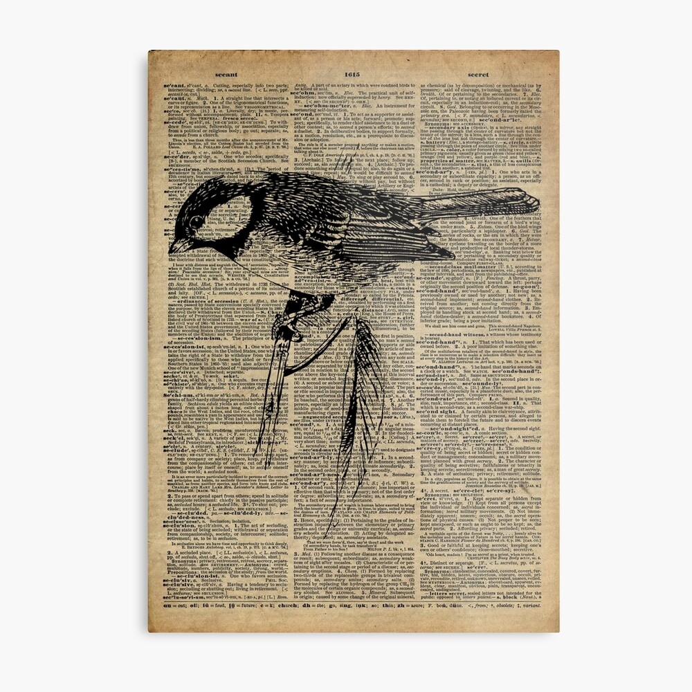  Bird Vintage Dictionary Page Art Art Print For Sale By Fishercraft Redbubble