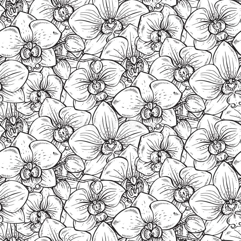 Black White Seamless Pattern Hand Drawing Orchid Flower Stock Illustrations 675 Black White Seamless Pattern Hand Drawing Orchid Flower Stock Illustrations Vectors Clipart Dreamstime