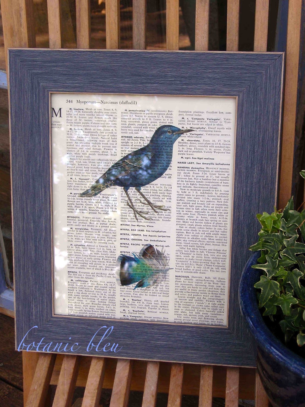 Botanic Bleu Vintage Bird Prints On Dictionary Pages Tutorial
