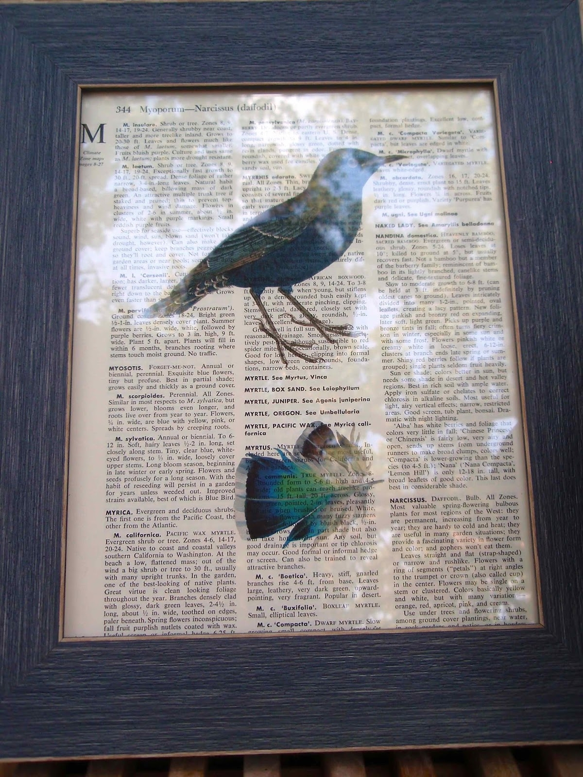 Botanic Bleu Vintage Bird Prints On Dictionary Pages Tutorial