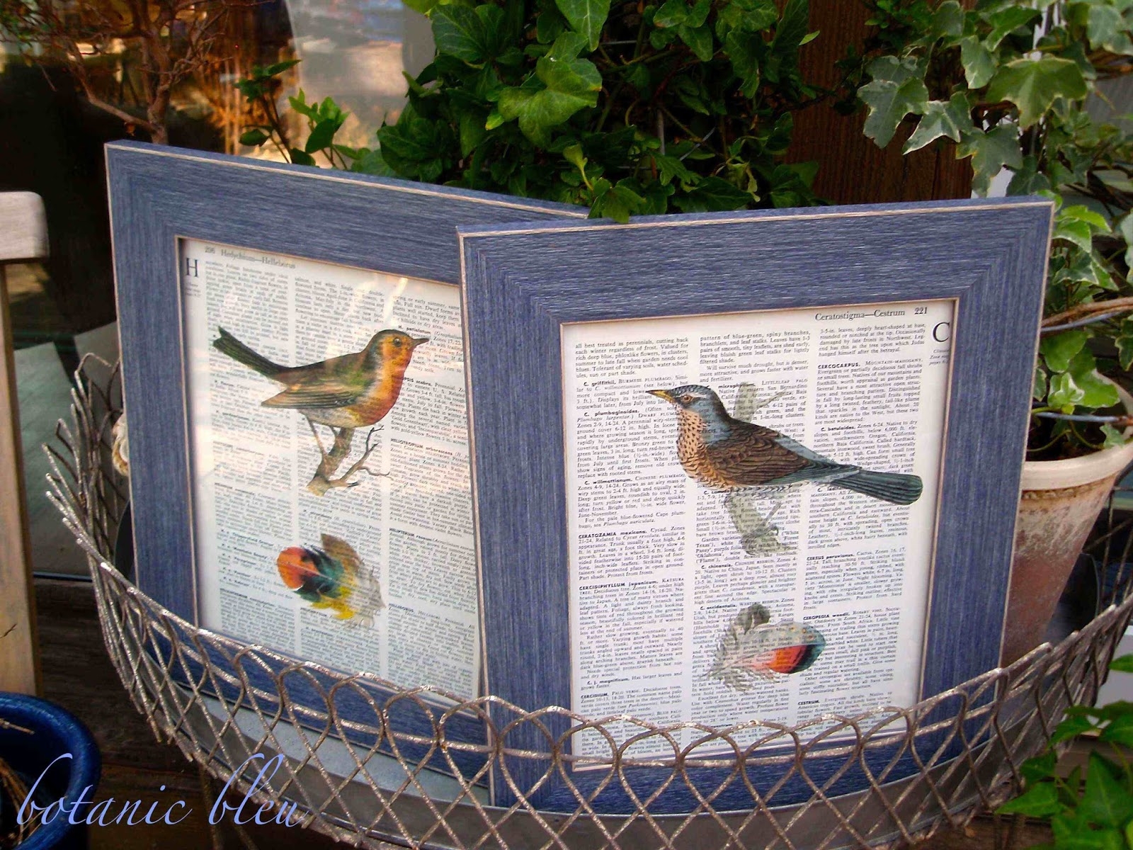Botanic Bleu Vintage Bird Prints On Dictionary Pages Tutorial