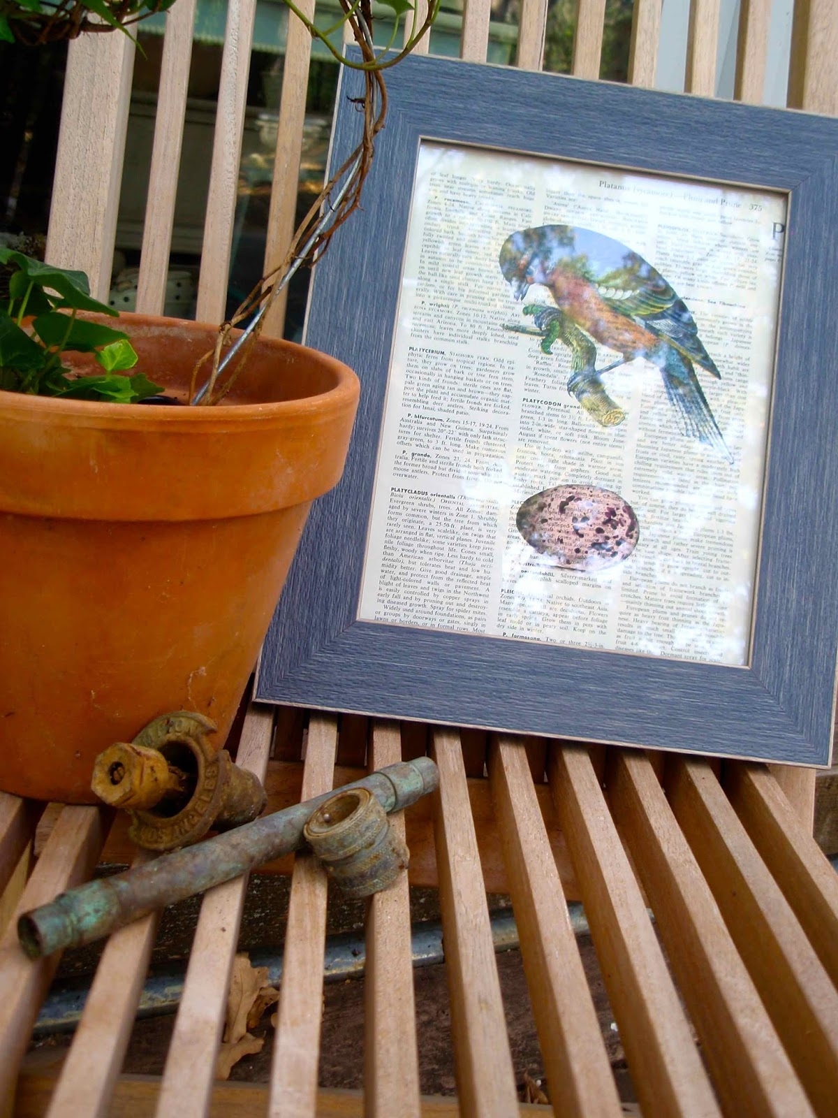 Free Printable Dictionary Page Bird