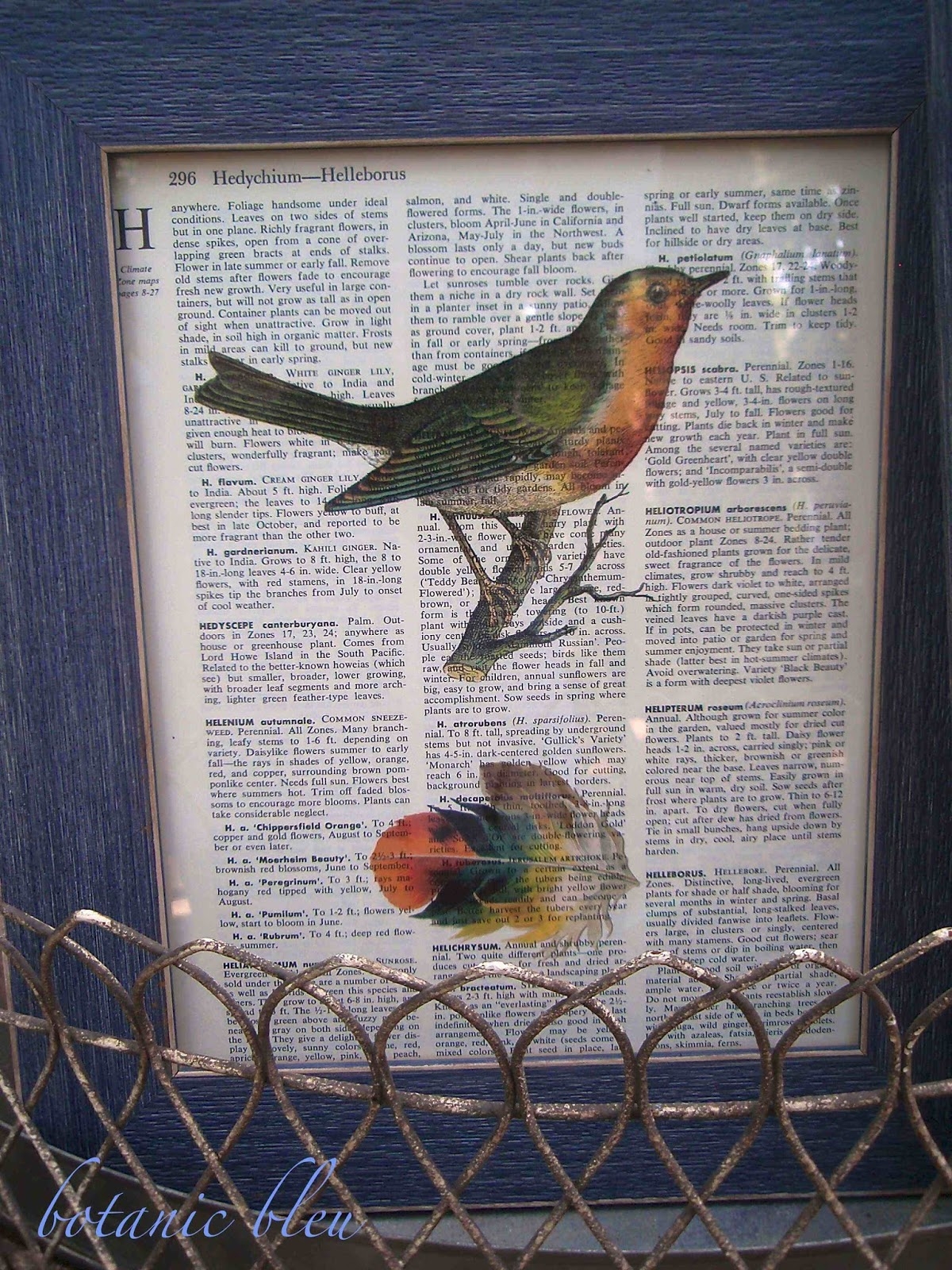 Botanic Bleu Vintage Bird Prints On Dictionary Pages Tutorial
