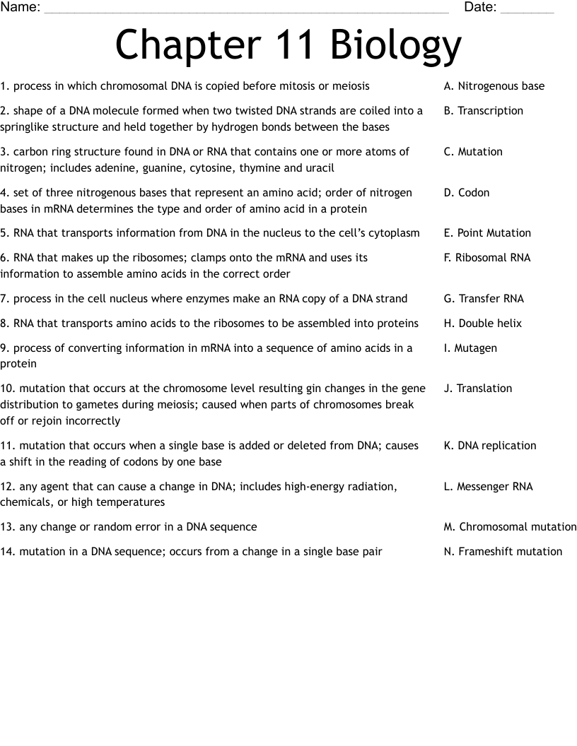 Free Printable Biology 101 Worksheets
