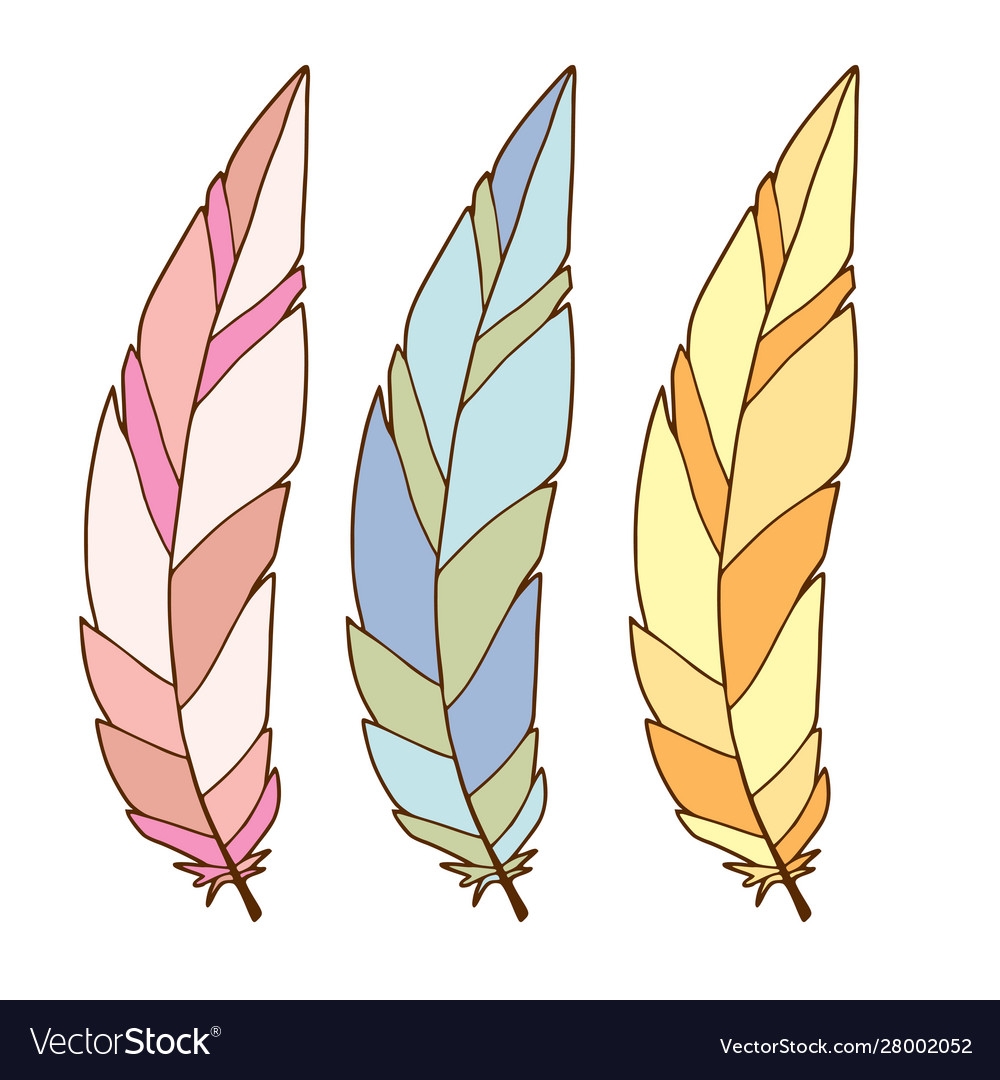 Colorful Stylized Feathers Interior Printable Art Vector Image