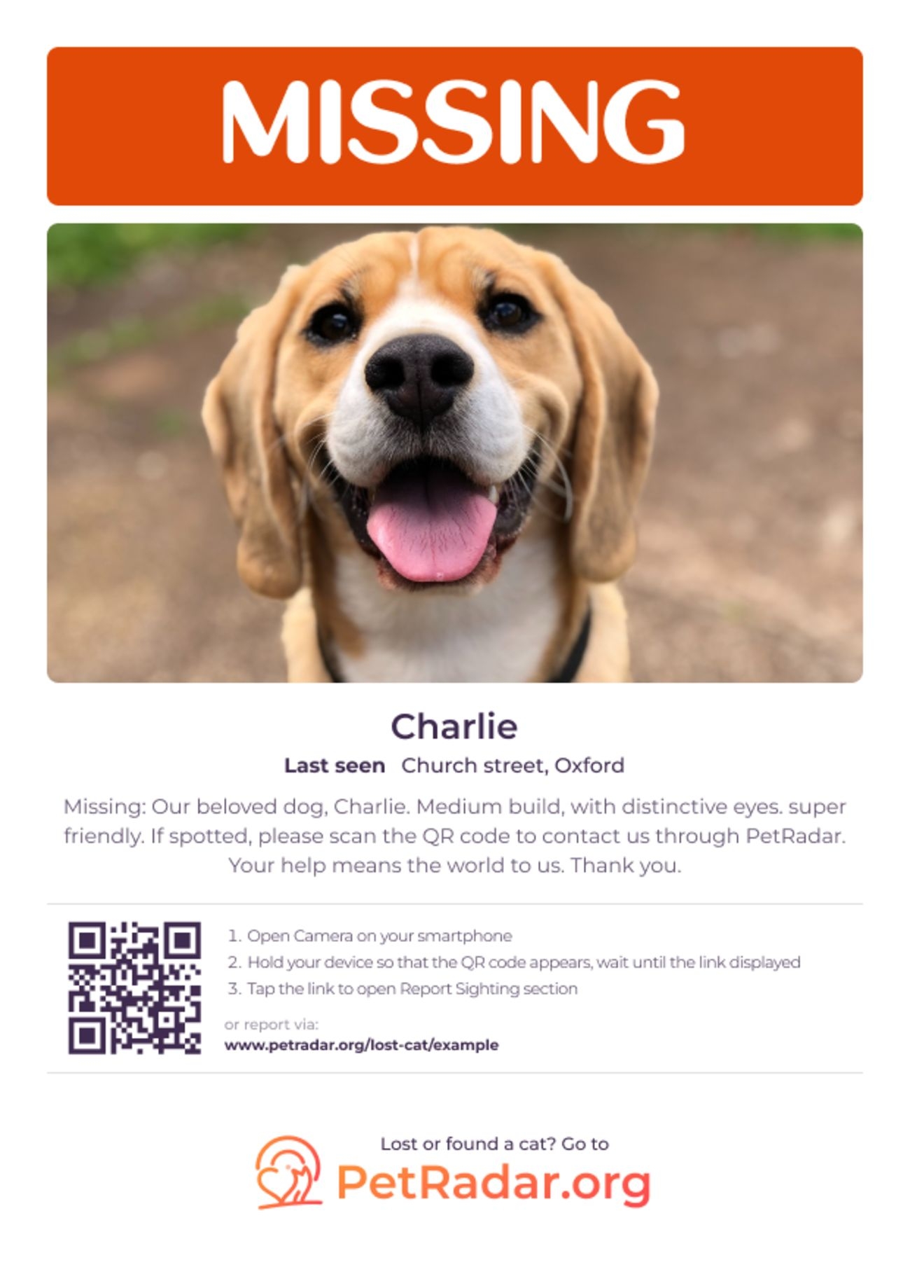 Free Printable Lost Pet Flyer