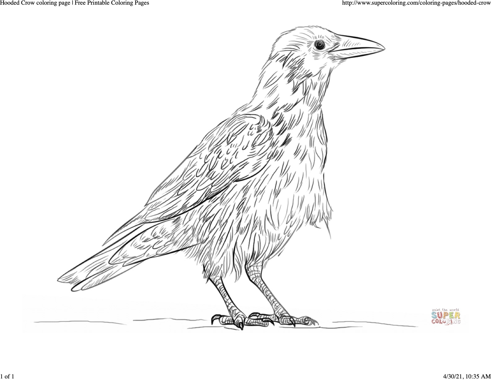 Crow Art Ideas Alanna Peterson