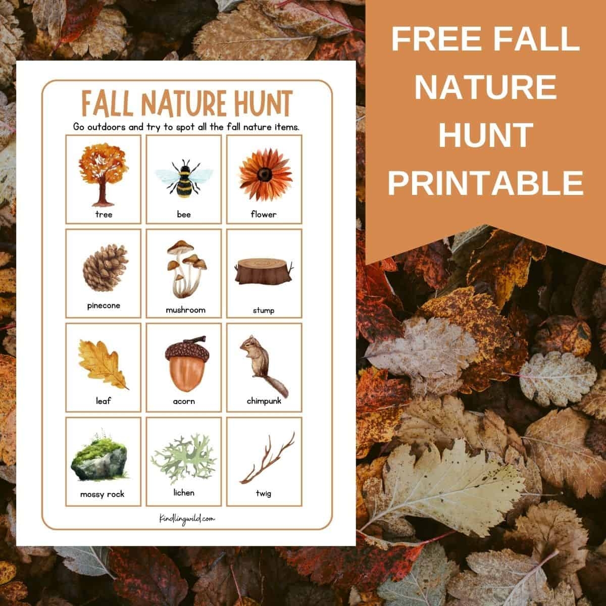 Visuals Free Printable Outdoors