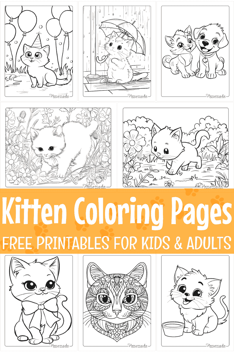 Free Kitten Coloring Pages For Kids Adults PDF Printables 