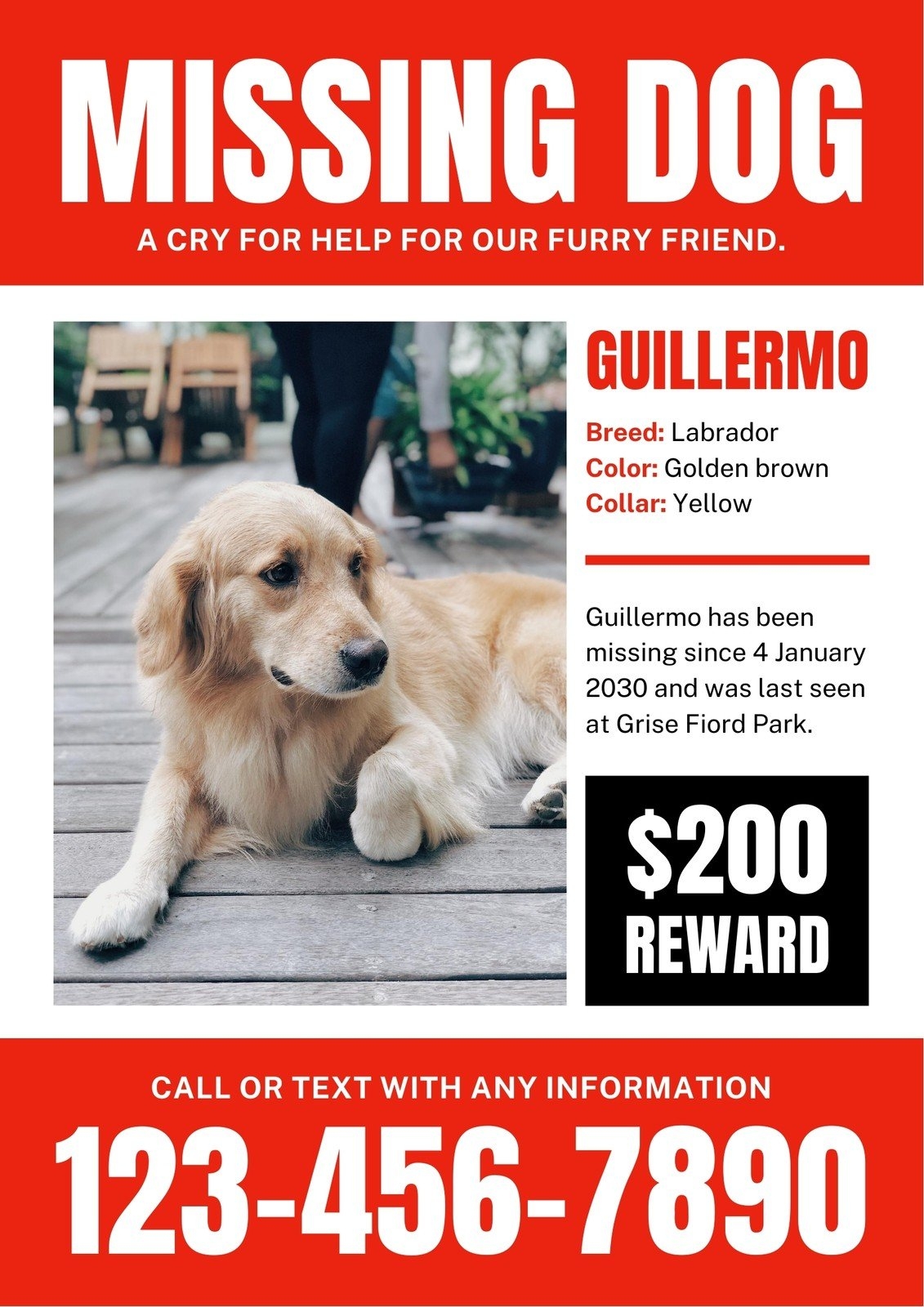 Free Printable Customizable Lost Dog Flyer Templates Canva