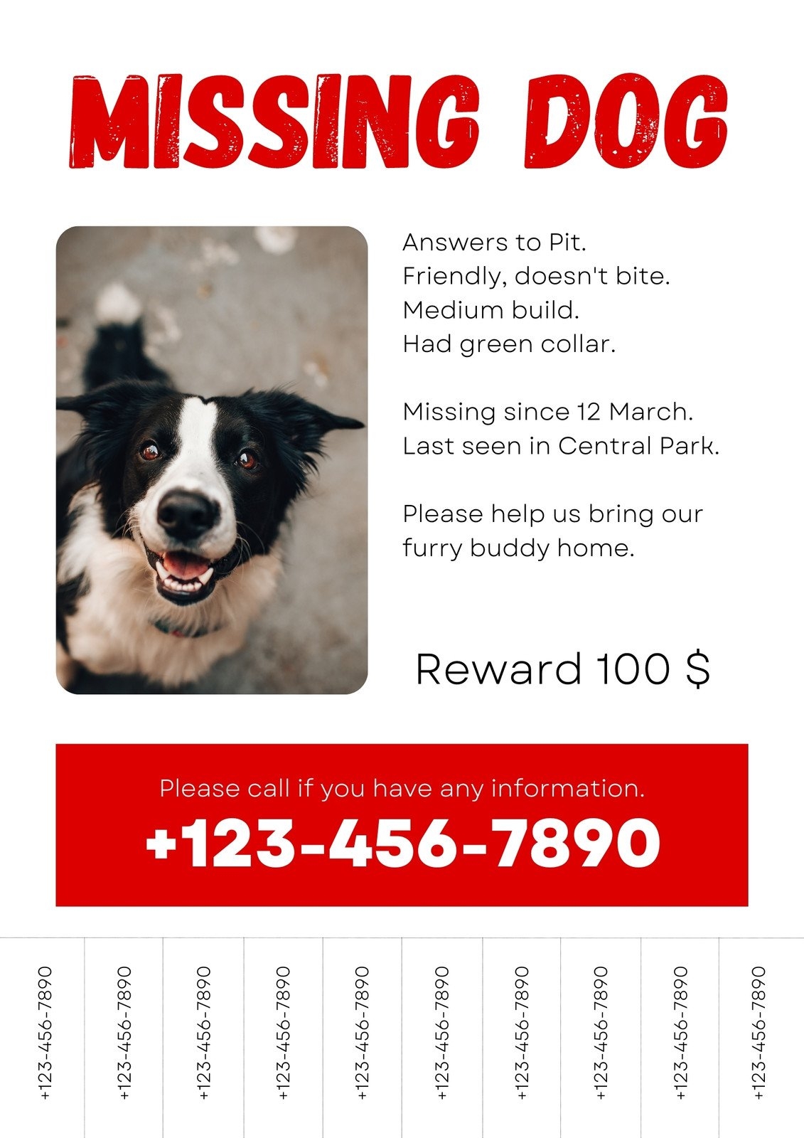 Free Printable Customizable Lost Dog Poster Templates Canva