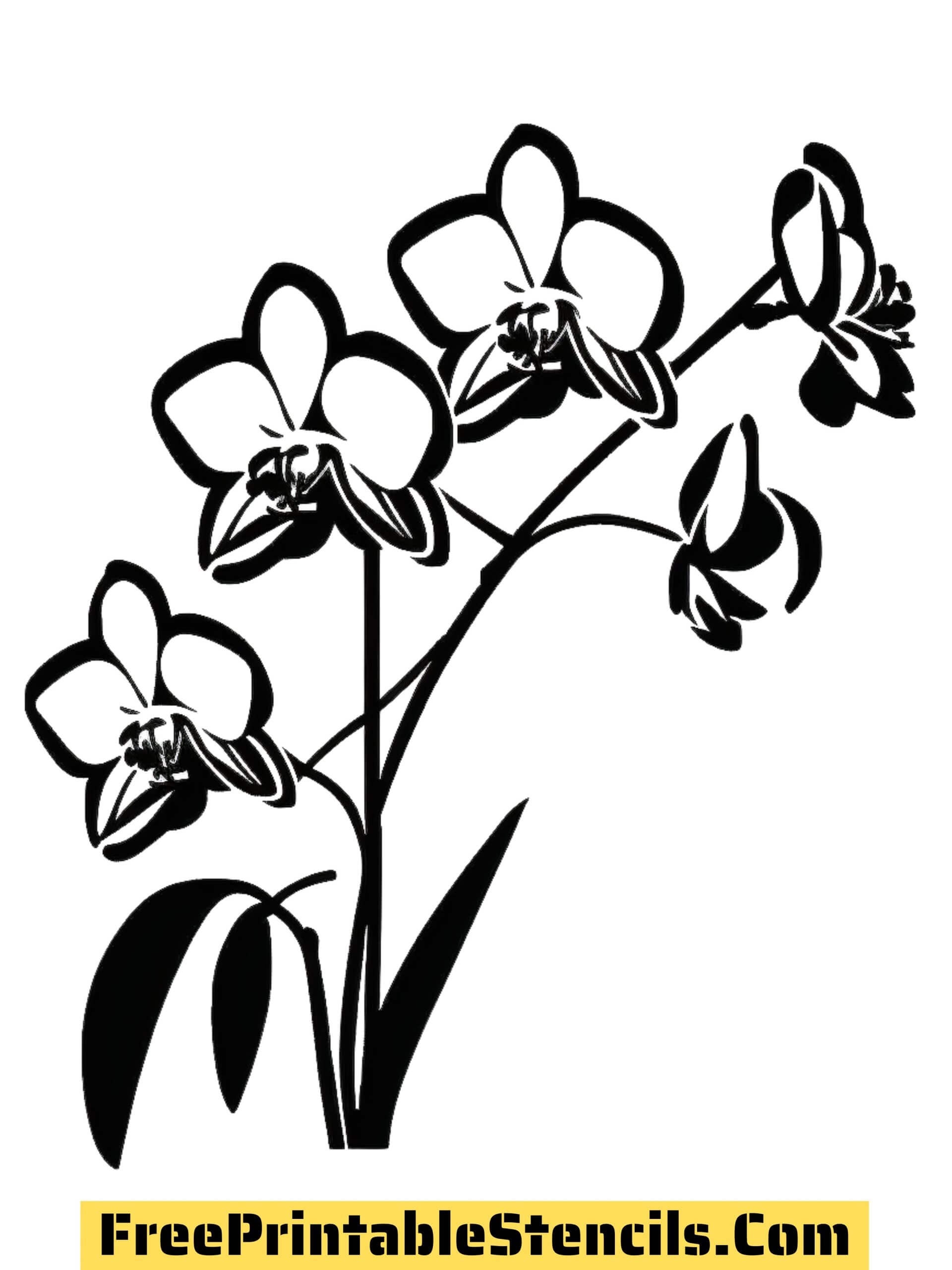 Free Printable Orchid Stencils And Silhouettes Free Printable Stencils