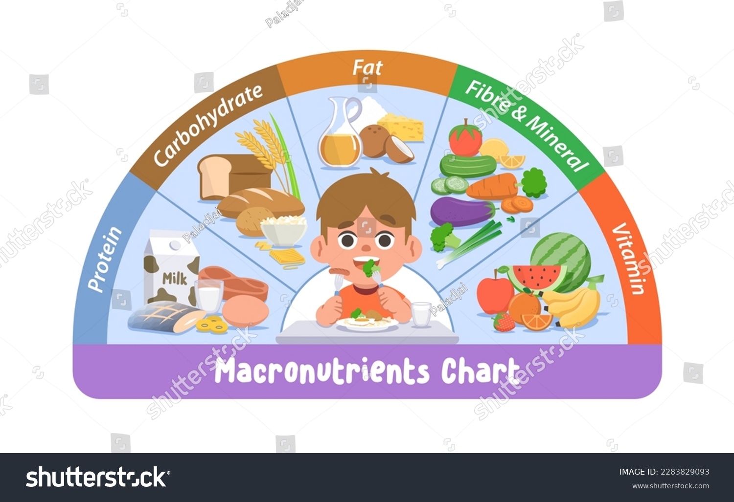 Healthy Food Chart Kids Photos And Images Shutterstock