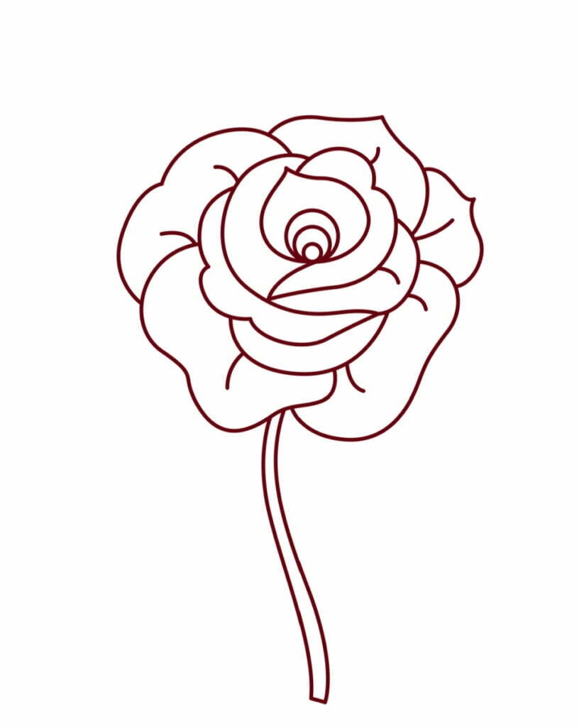 How To Draw A Rose A Step By Step Guide