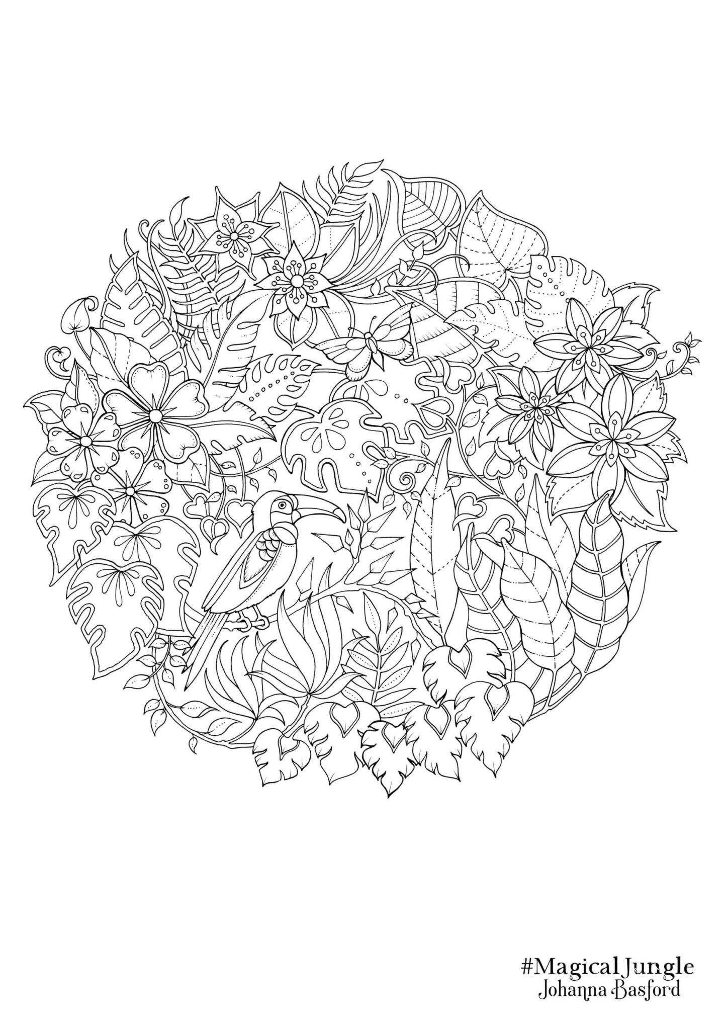 Johanna Basford AdultcoloringbookZ