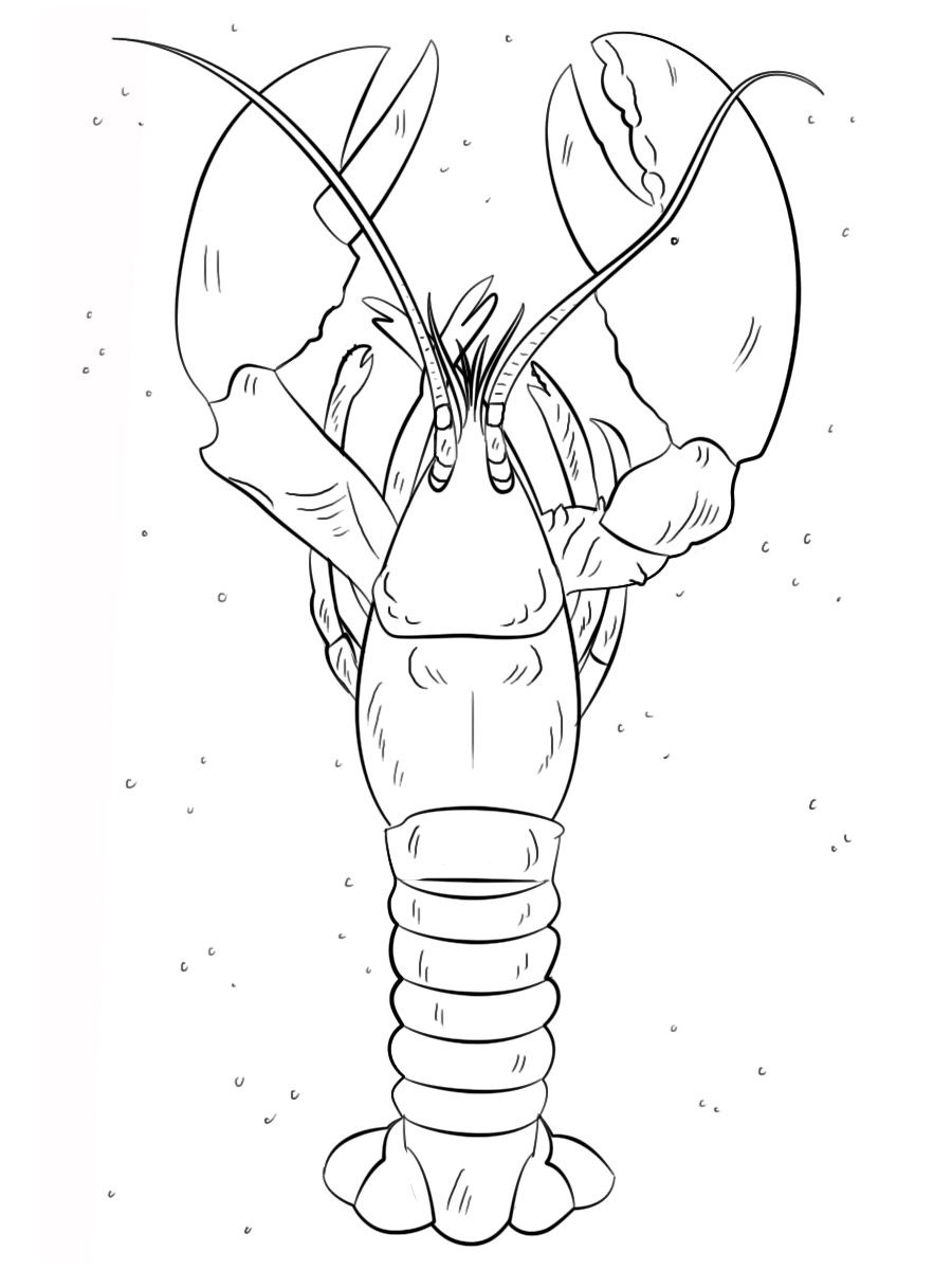 Lobster Coloring Pages