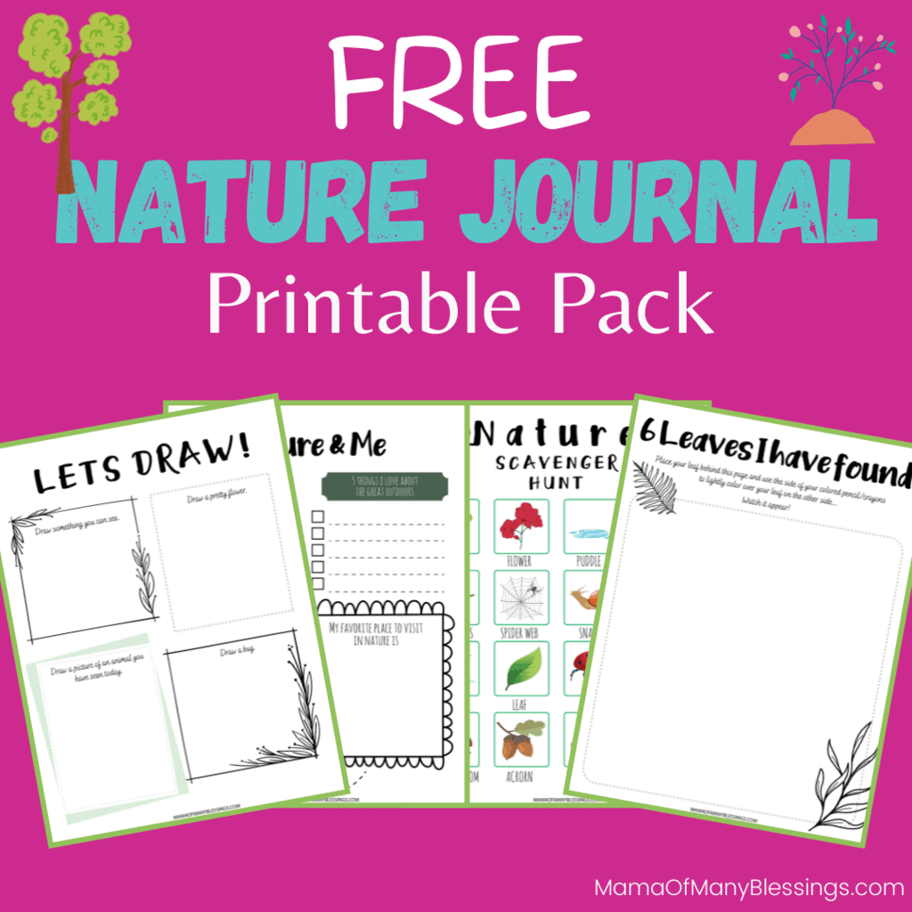 Nature Journal FREE Printable