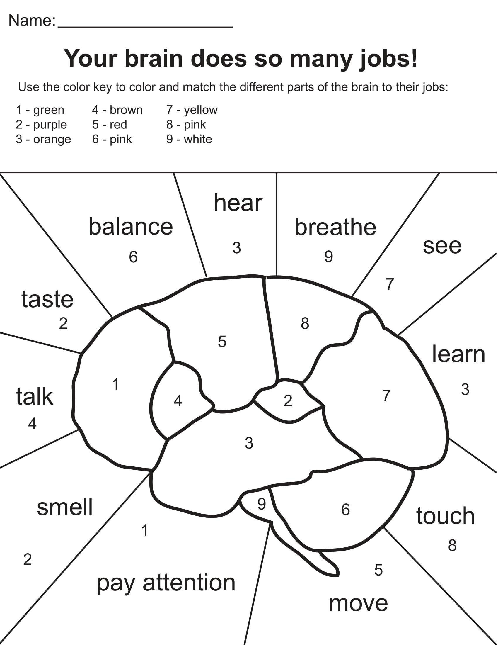 Neuro Coloring P Pages GLIA