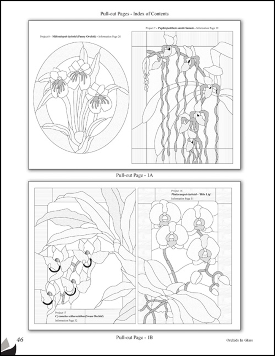 Orchids In Glass Art Glass Love By Wardell