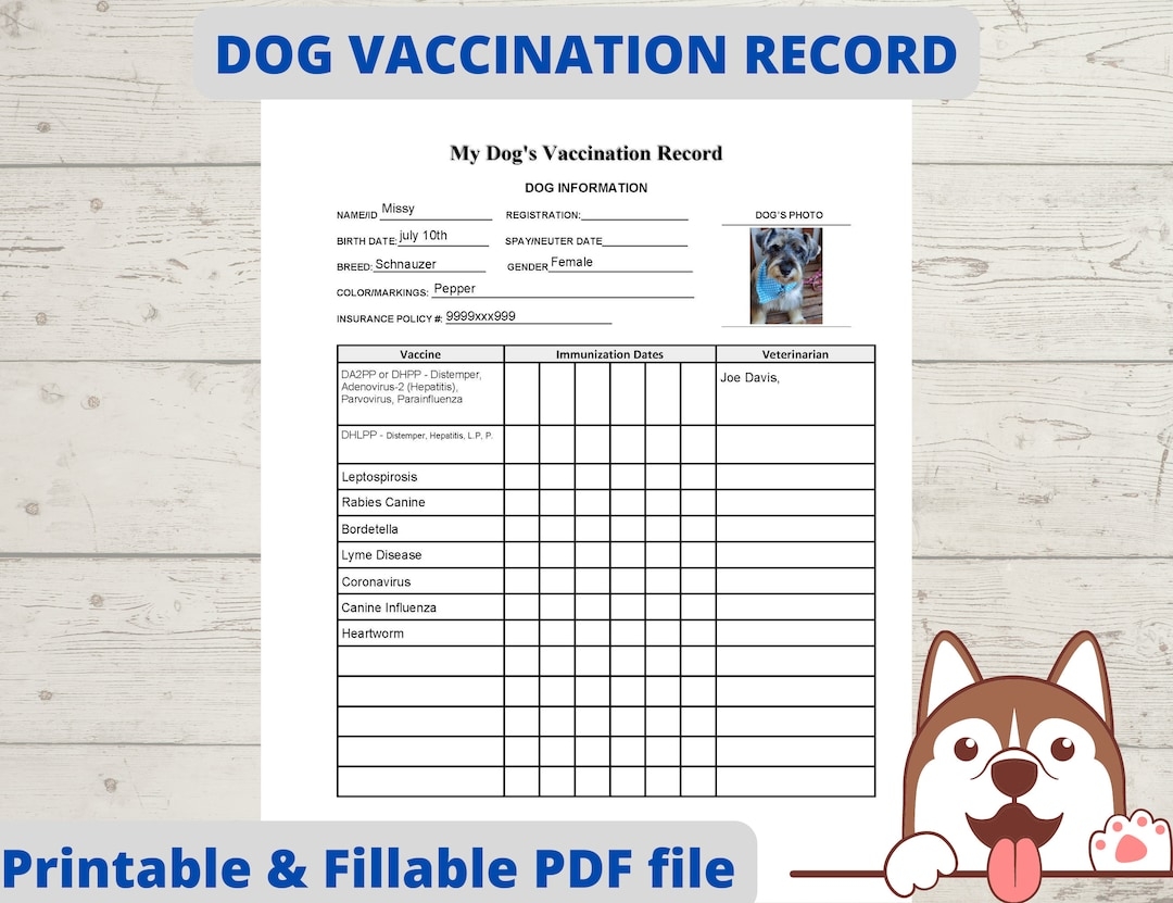 Puppy Vaccination Record Dog Health Record Dog Shot Record Pet Health Record Instant Download PDF Fillable Printable Etsy