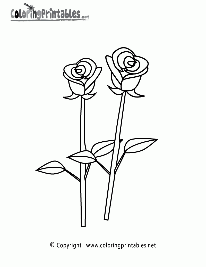 Rose Coloring Page A Free Adult Coloring Printable