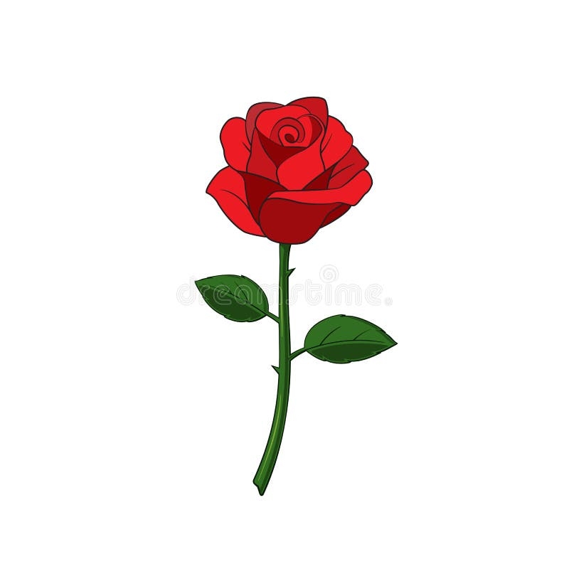 Rose Stem Vector Stock Illustrations 15 931 Rose Stem Vector Stock Illustrations Vectors Clipart Dreamstime