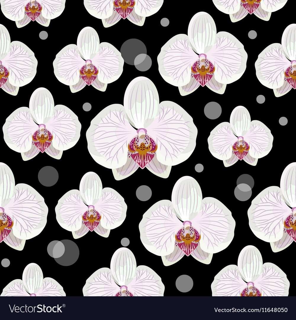 Seamless Pattern With Orchid Flowers Royalty Free Vector