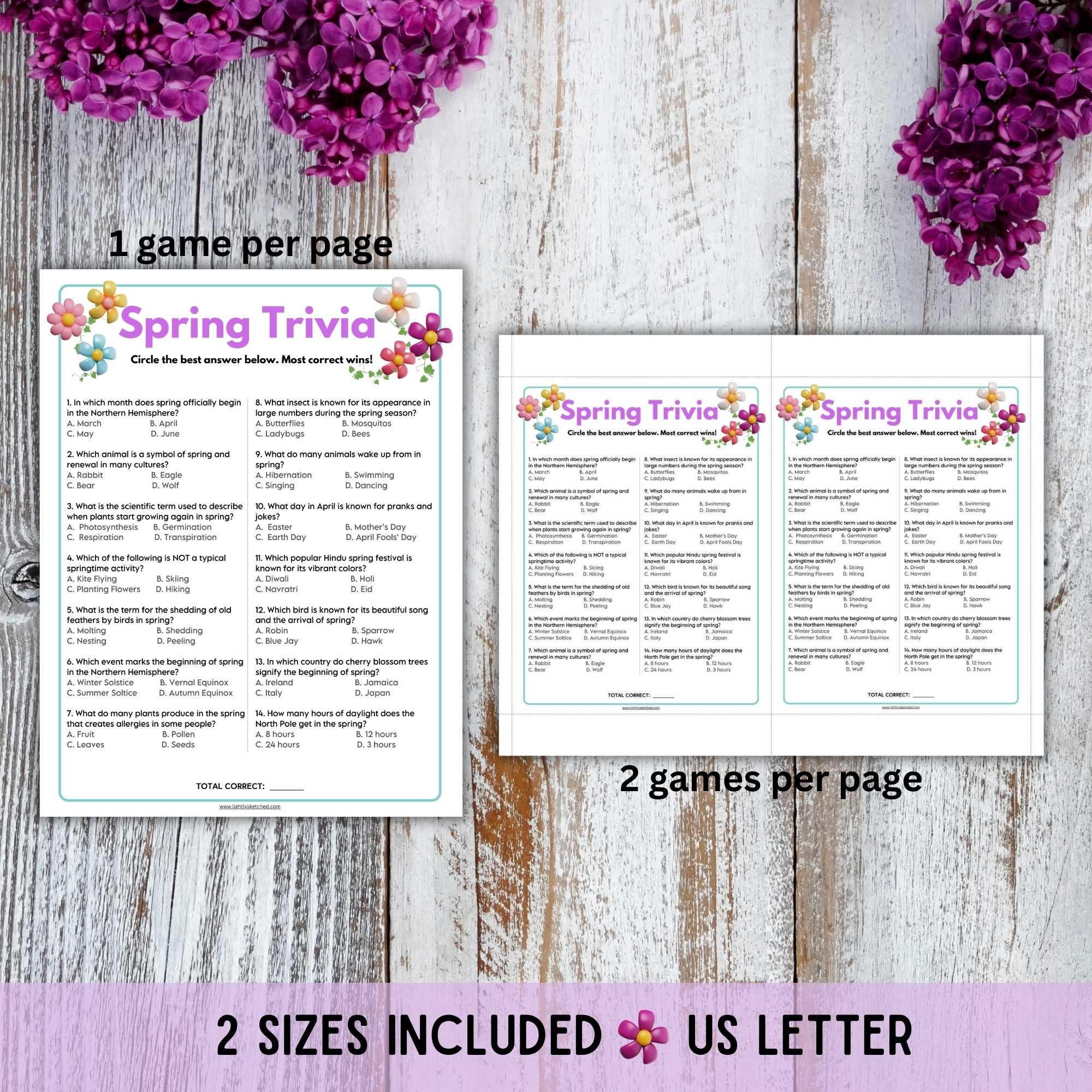 Spring Trivia Game Lightly Sketched