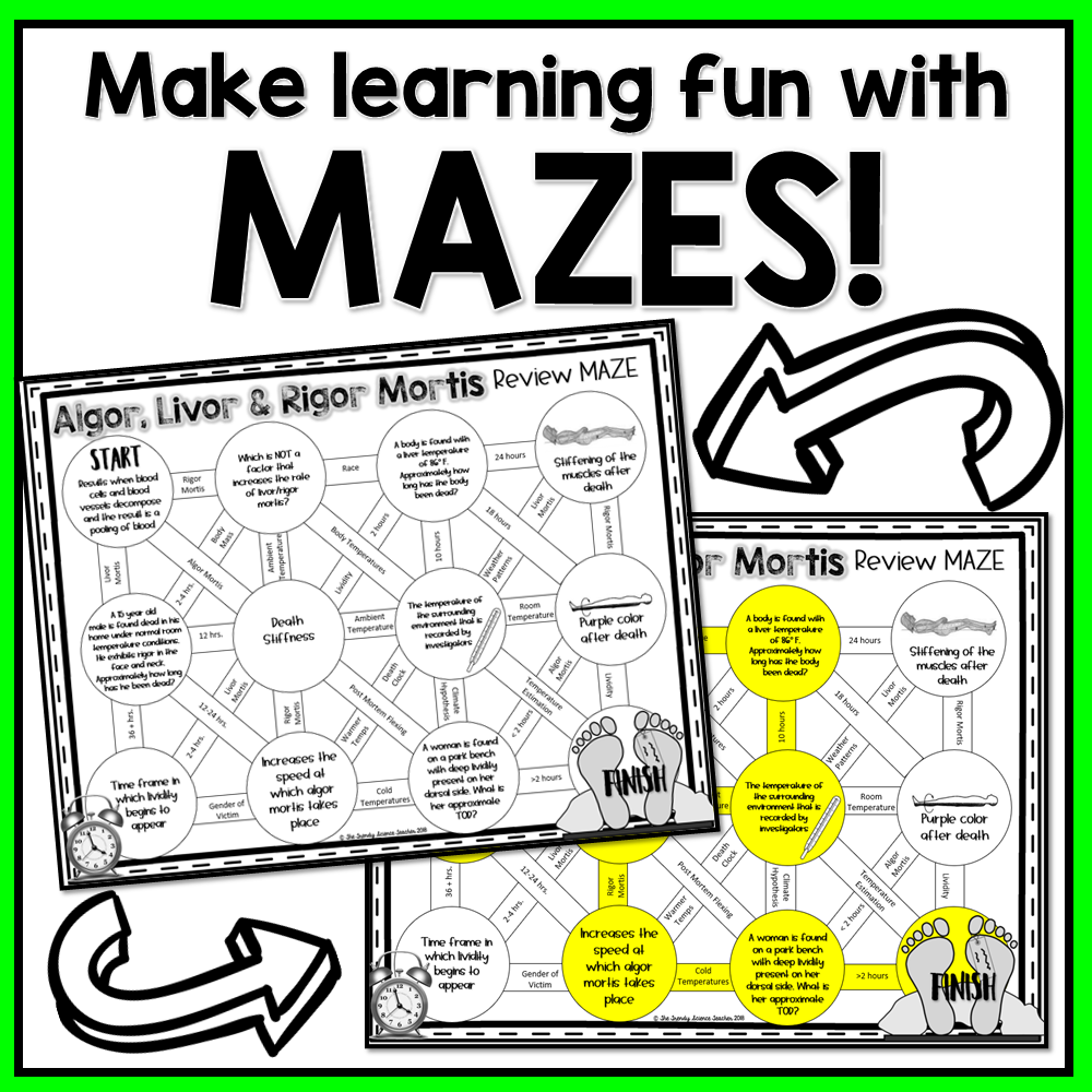 Time Of Death Review MAZE Forensics Worksheet The Trendy Science Teacher